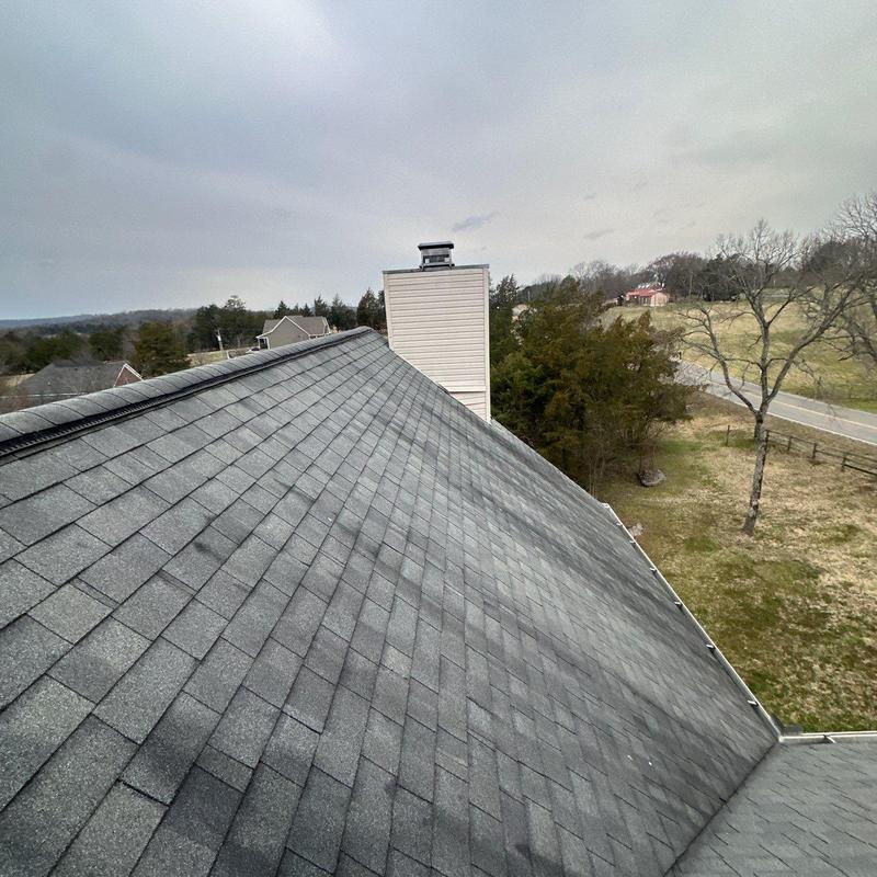 Asphalt shingle roof with chimney and surrounding trees