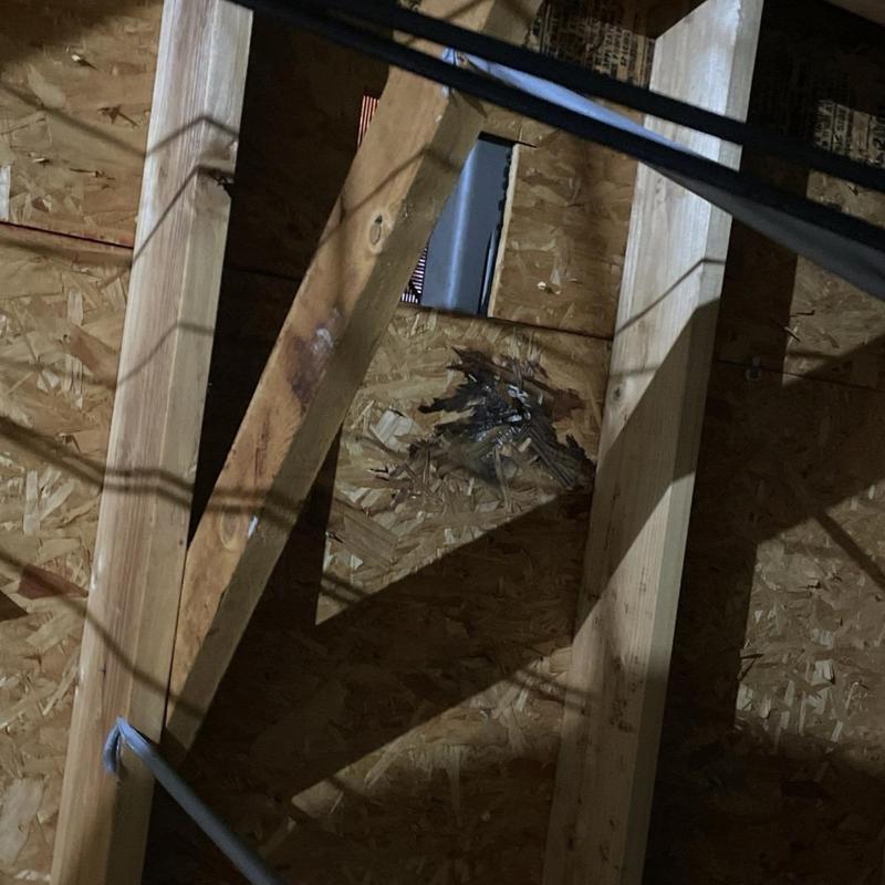 Roof decking with moisture damage and framing beams