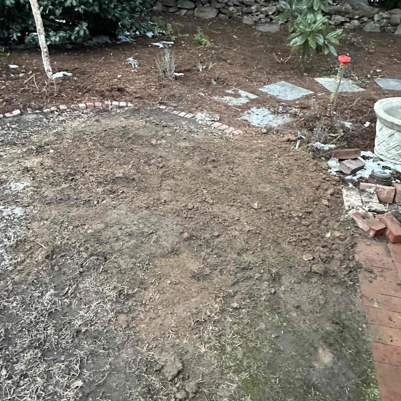 Underground pipe area backfilled and leveled in yard Underground pipe area backfilled and leveled in yard