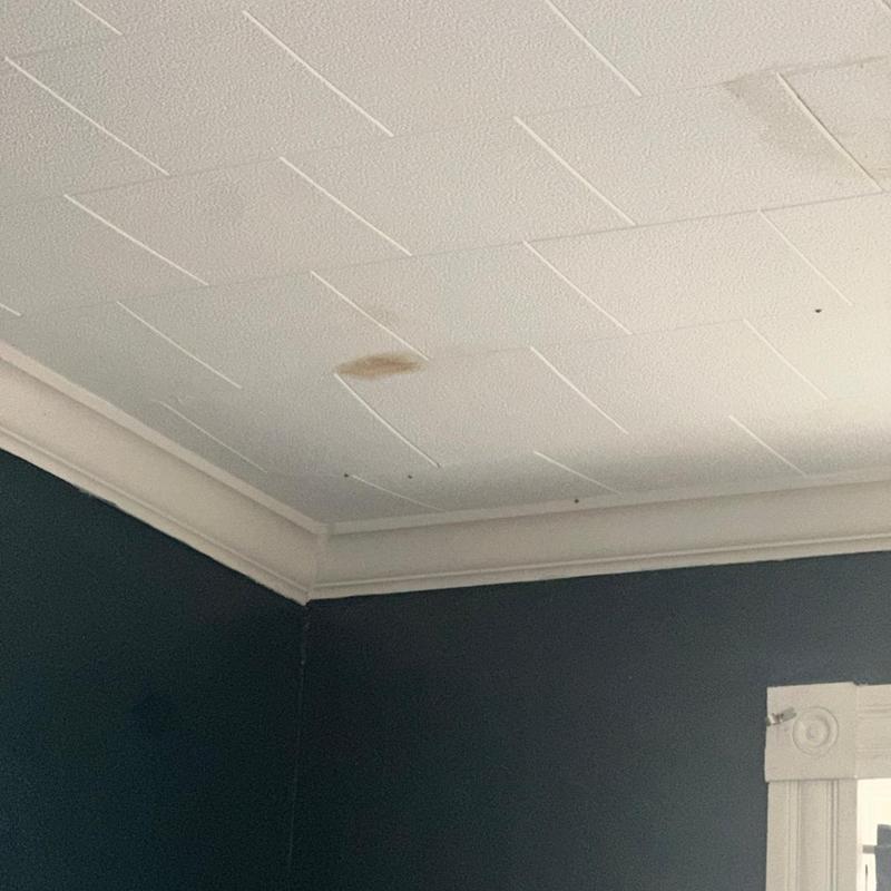 Ceiling tiles with water stain during roof interior inspection Ceiling tiles with water stain during roof interior inspection