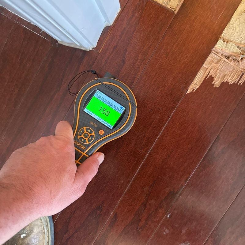 Wood floor moisture meter testing near damaged area