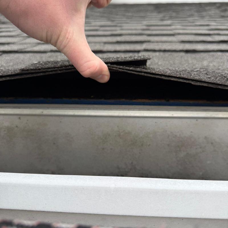 Asphalt shingle lifted for roof damage inspection