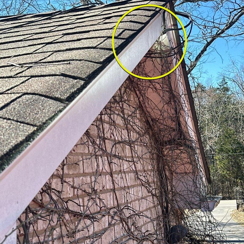 Roof ridge cap with hail damage and vine growth