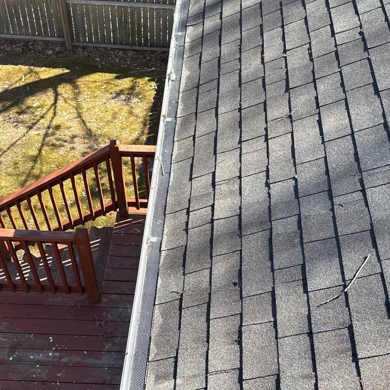 Roof shingles and gutter screen with hail damage