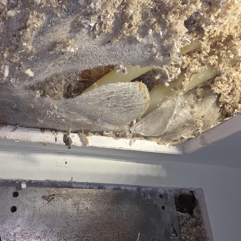 PEX water lines in attic with torn insulation