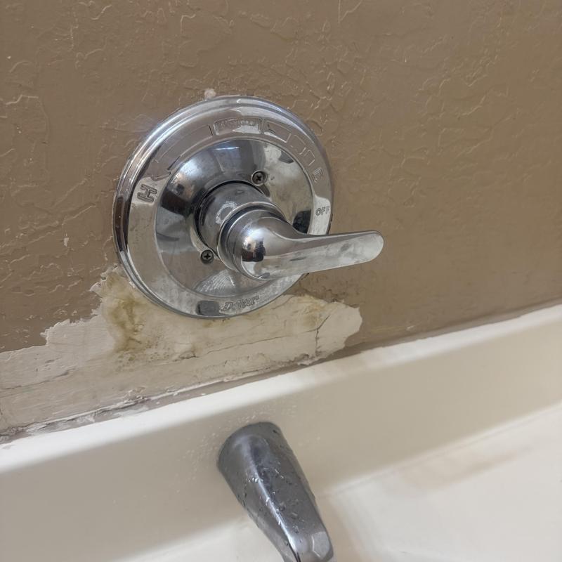 Delta classic cartridge valve with wall water damage