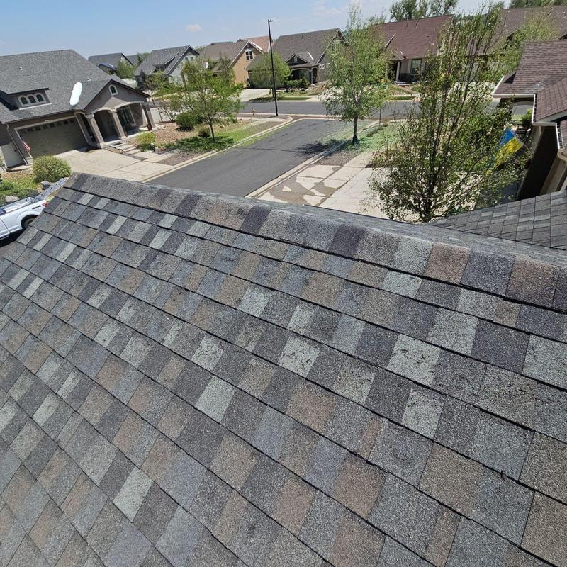 Asphalt roof shingles with hail damage inspection in Denver Asphalt roof shingles with hail damage inspection in Denver
