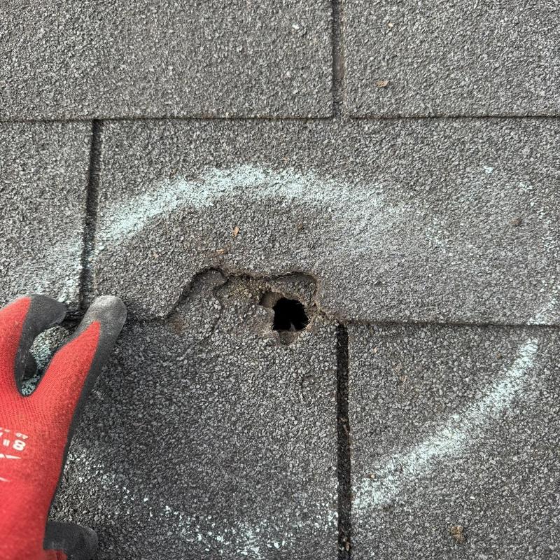 Shingles with hole and chalk circle during inspection