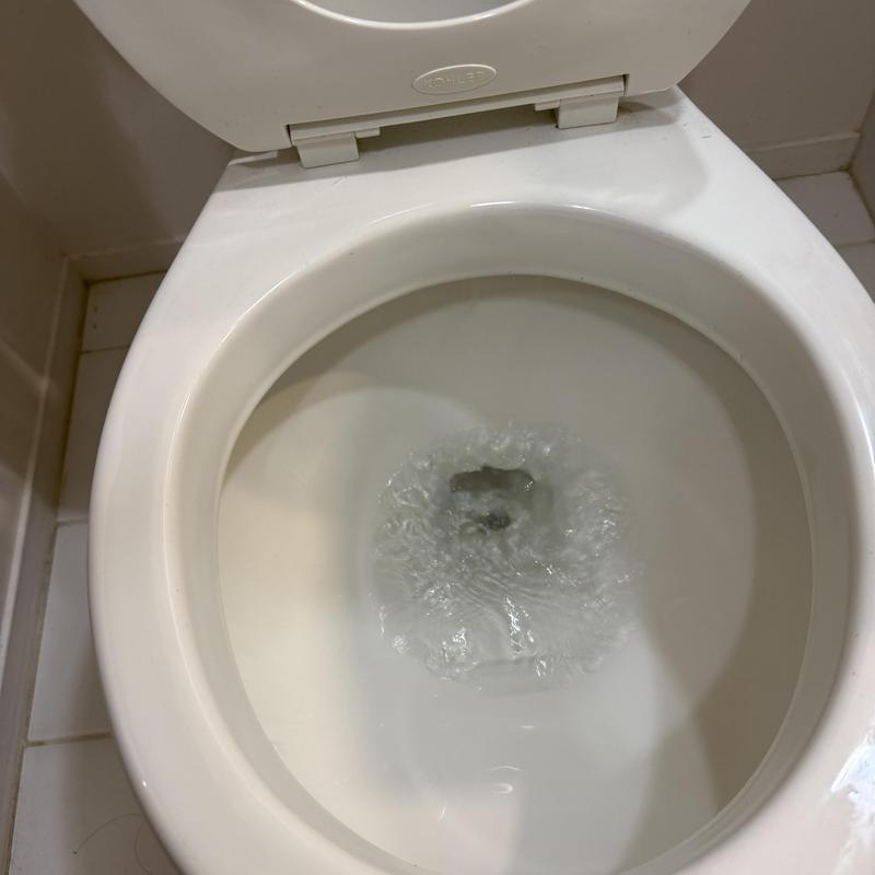Toilet flushing water clearing drain blockage