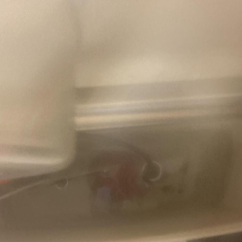 Toilet fill valve and flapper replacement inside tank