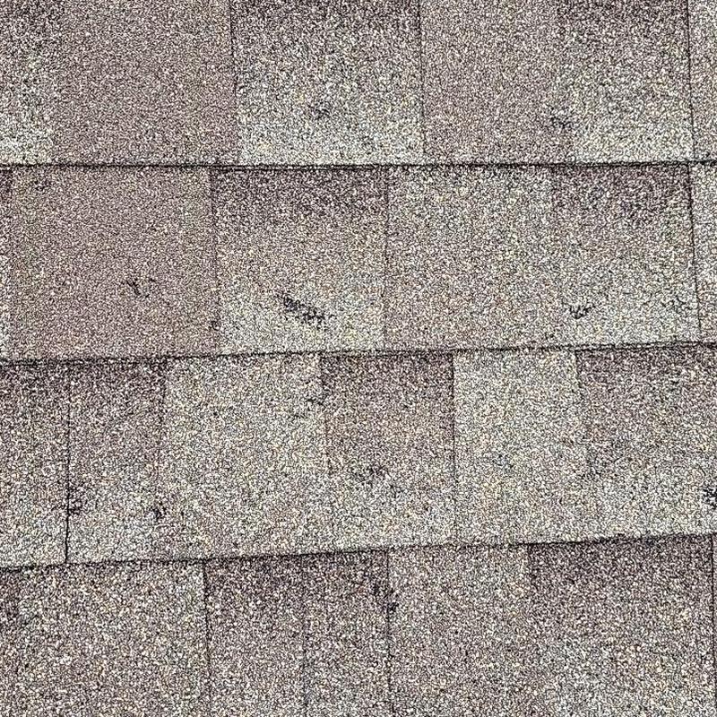 Asphalt roof shingles with minor wear marks