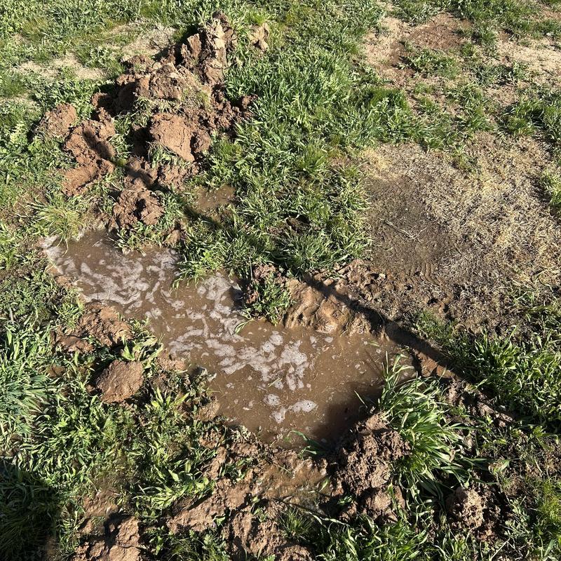 Backyard water leak with muddy standing water