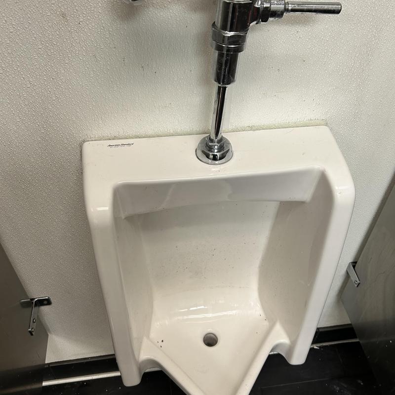 Mens restroom urinal and flush valve system