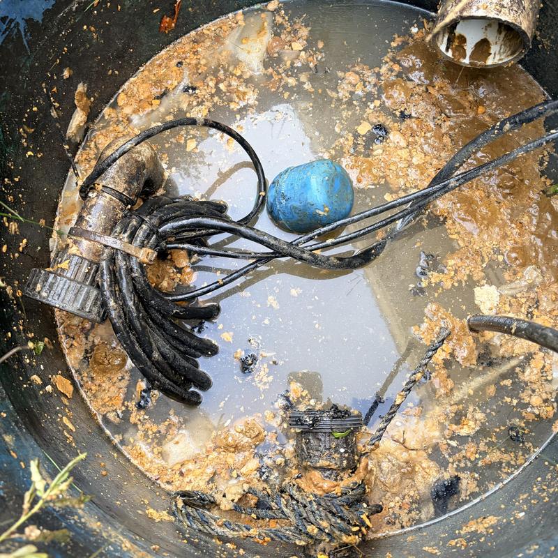 Grinder pump basin with sludge and failed alarm float