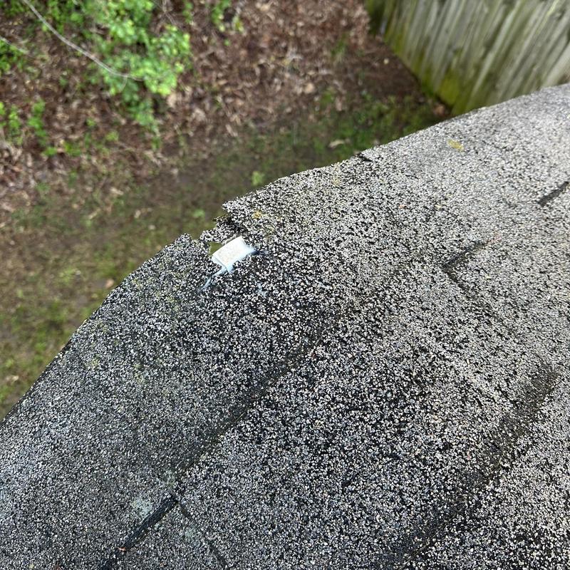 Roof shingles with cracked and granular loss damage