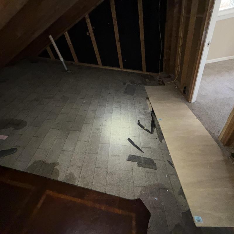 Charcoal 3-tab roof attic inspection, no holes found