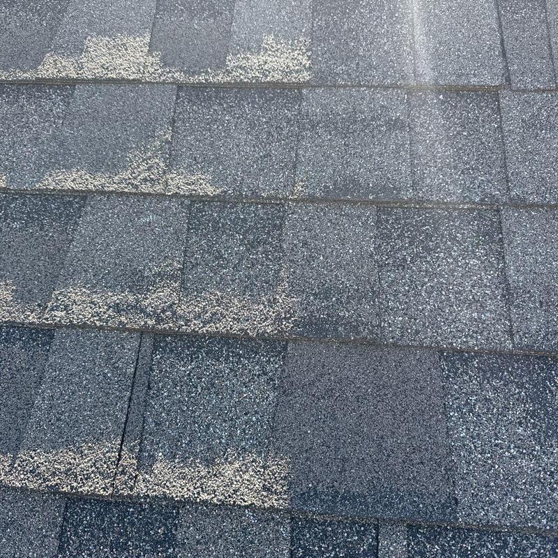 Asphalt shingle roof with hail damage granules