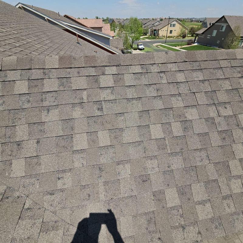 Asphalt shingle roof showing widespread hail damage Asphalt shingle roof showing widespread hail damage