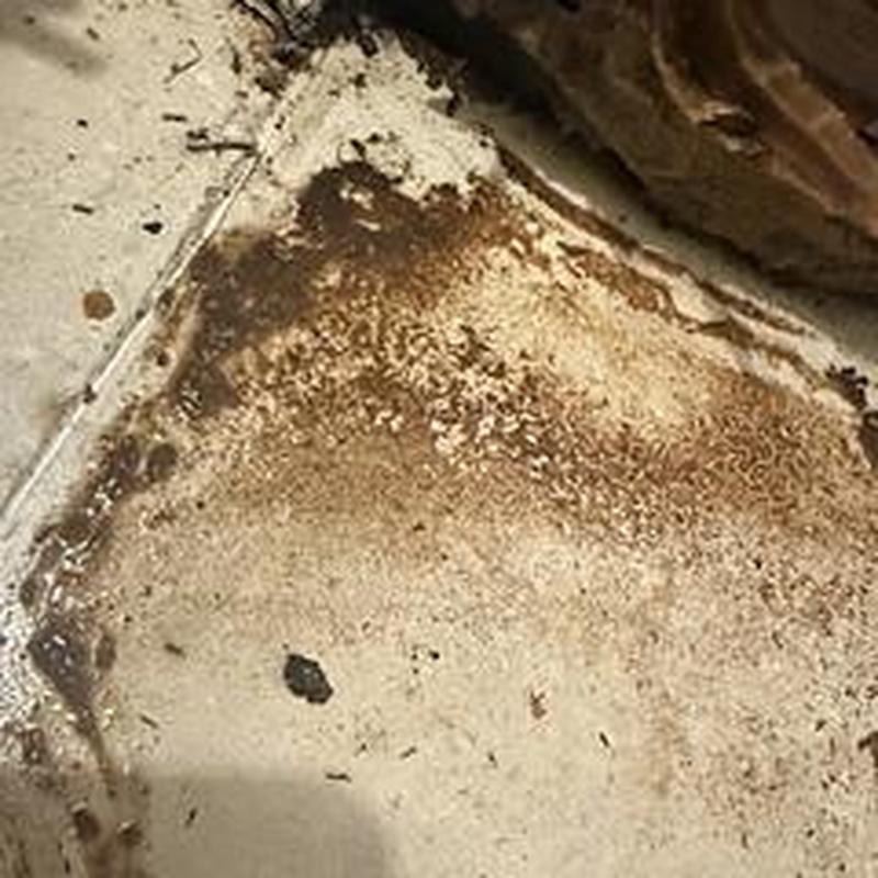 Floor-mounted toilet wax seal leak damage on floor tiles