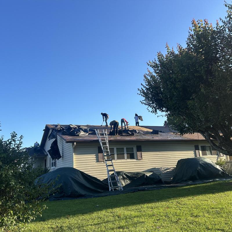 Asphalt shingle roof replacement on residential condo
