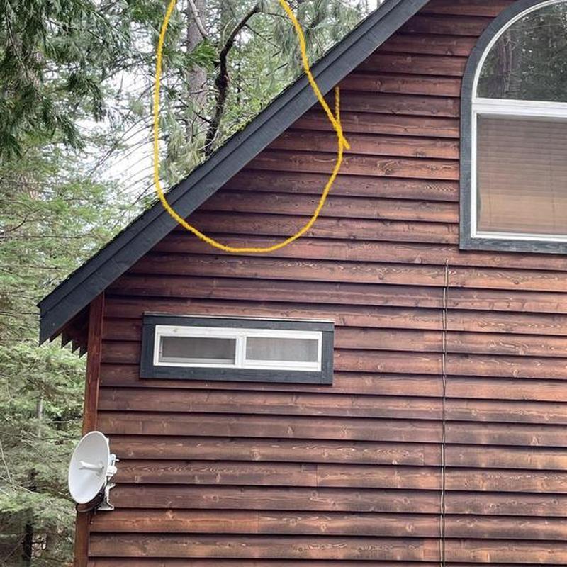 Tree branch hanging over cabin roof in Myhok, CA
