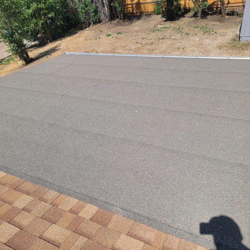 Flat roof with scarred shingles and pipe jacks Flat roof with scarred shingles and pipe jacks