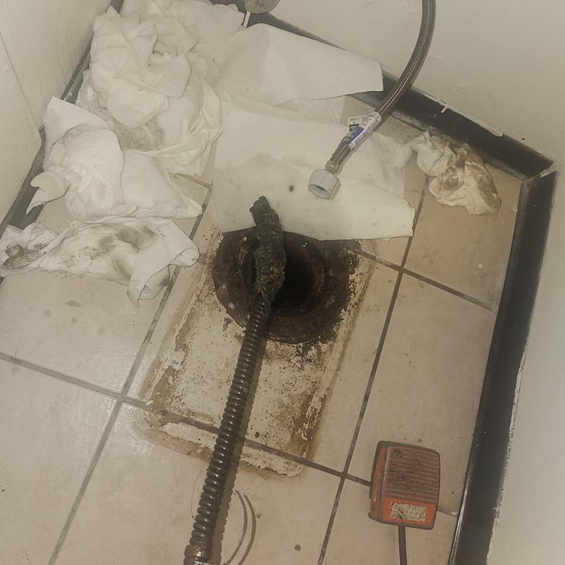 Sewer line drain snake clearing blockage in floor drain