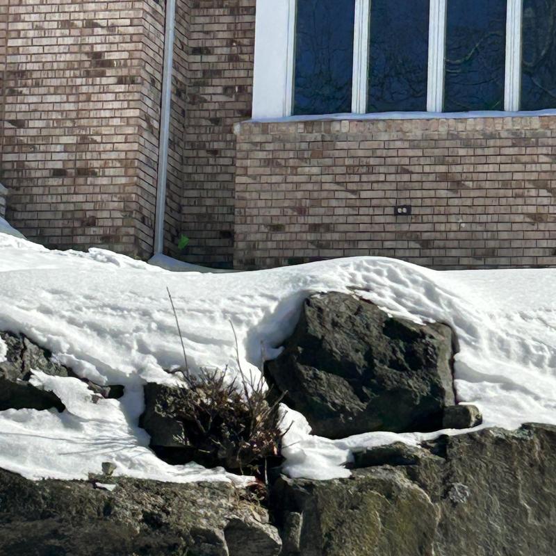 Sewer line outdoor cleanout with green flags in snow