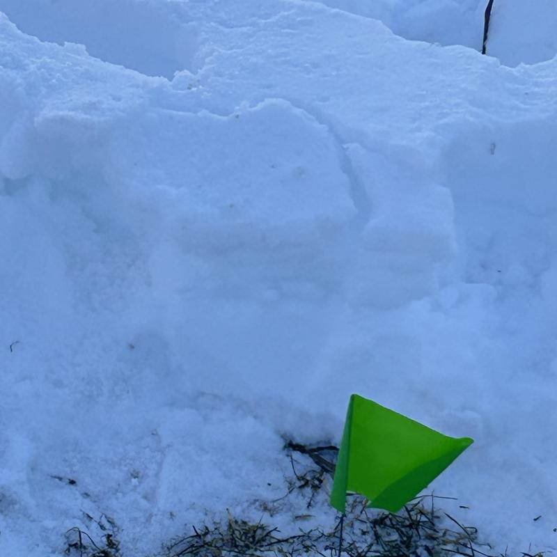 Sewer line cleanout marked with green flags in snow