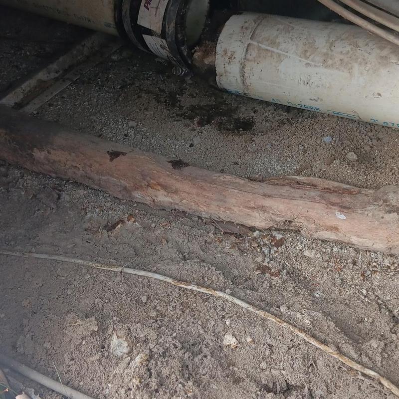 PVC drain pipe thawed and replaced in dirt floor crawlspace