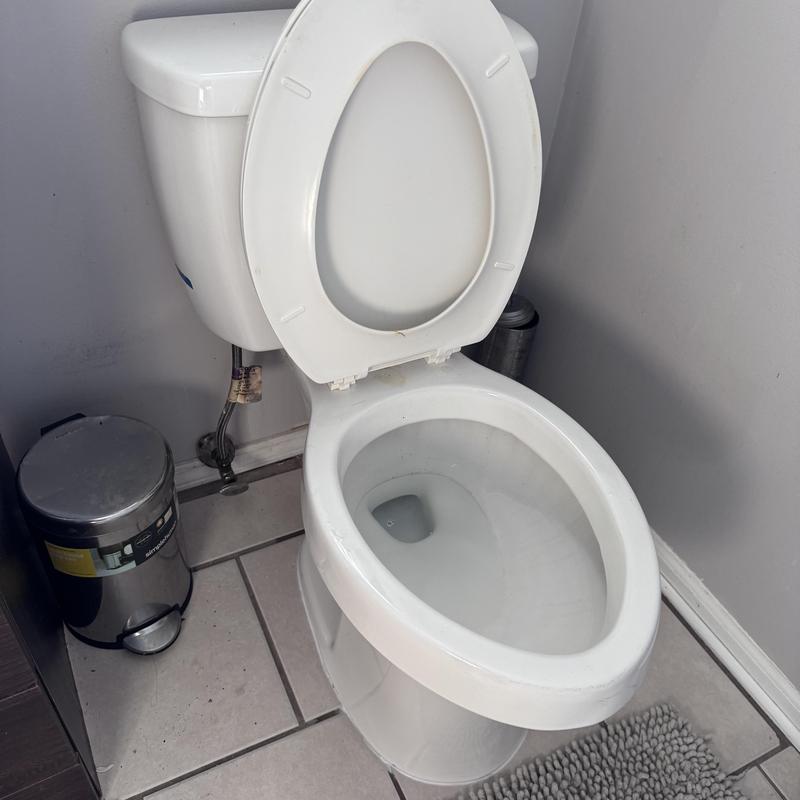 Toilet and sewer line hydro jetting and reset in bathroom