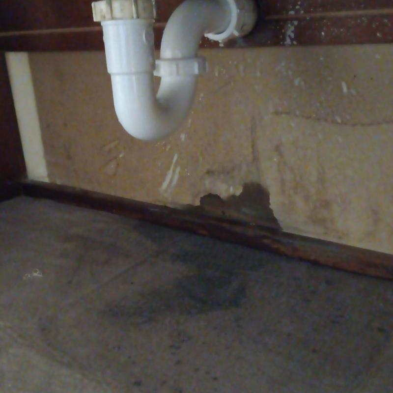 PVC sink drain trap with wall water damage underneath