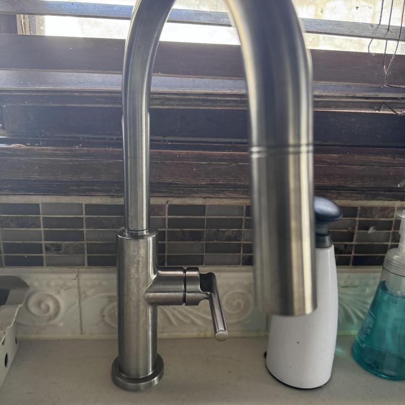 Kitchen faucet with stainless steel finish installed