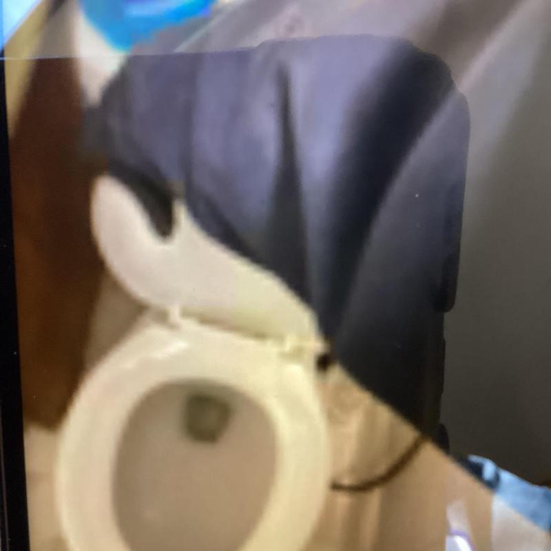 Toilet bowl with auger clearing blockage