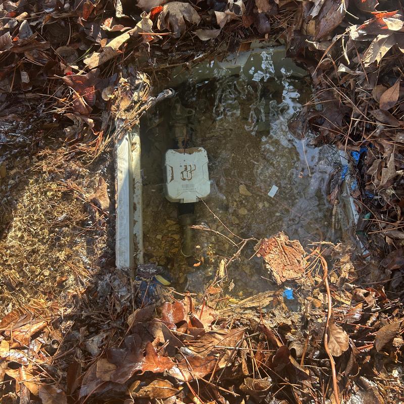 Water meter leak with surrounding dirt and leaves