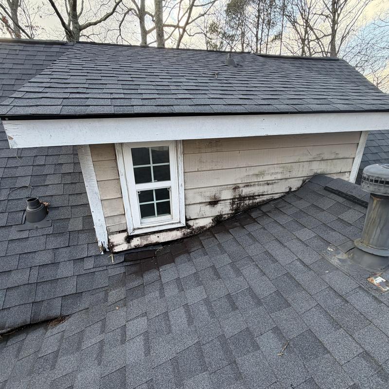 Roof lap siding with black mold and water damage