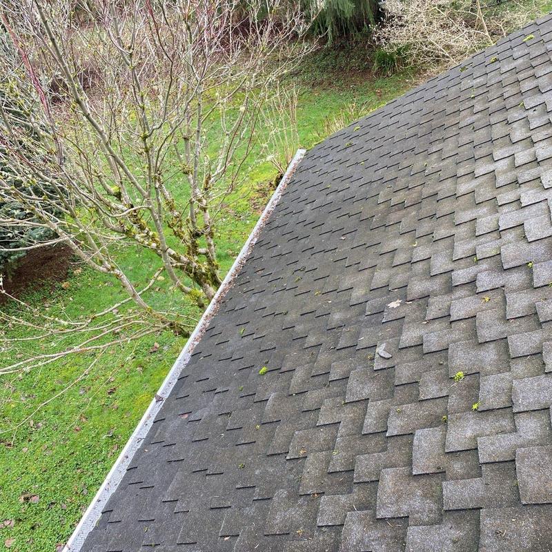 Asphalt shingle roof with moss and debris buildup