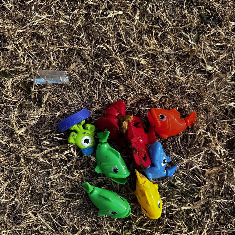 Toilet trap with removed colorful plastic toys on grass