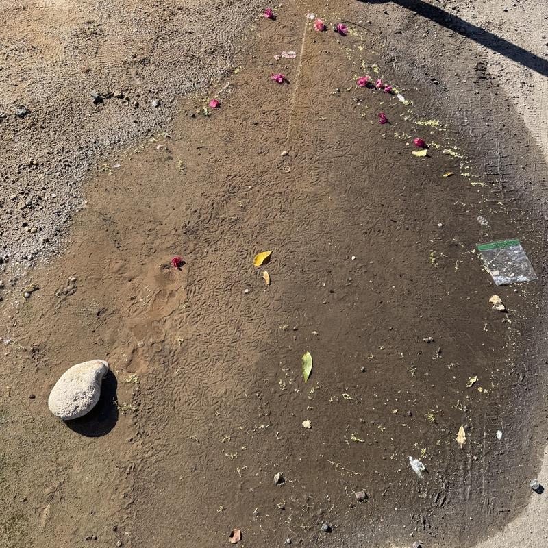 Water main leak area with soil and debris on ground