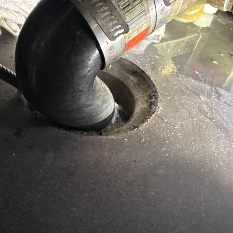 Bar sink drain pipe with hose clamp connection