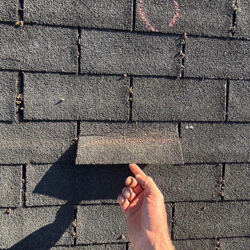 Asphalt shingle lifting inspection with marked hail damage