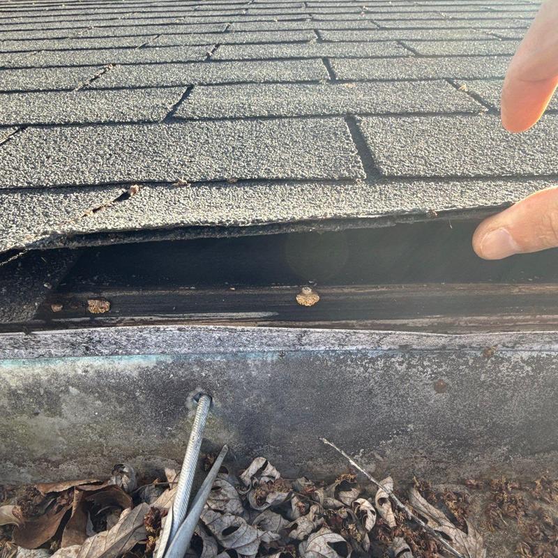 Asphalt shingle edge lifted showing roof decking exposure