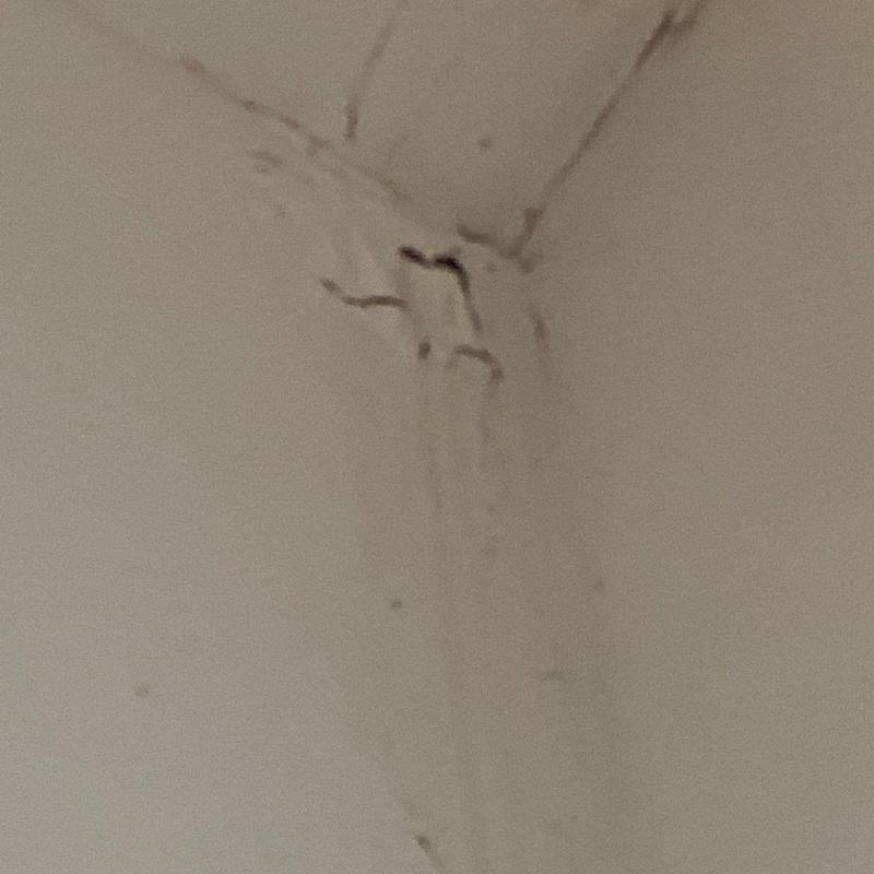 Drywall corner with water damage and cracks