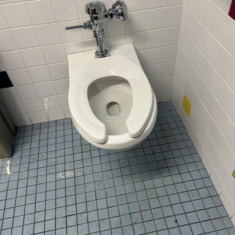 Toilet and main line clog clearing with auger and snaking