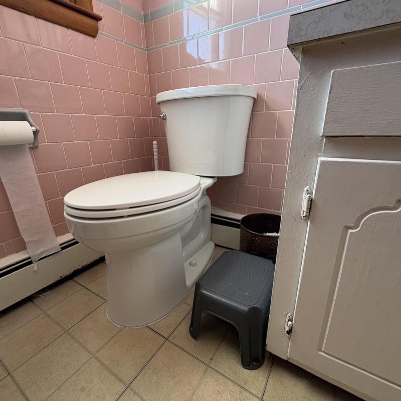 Kohler Kingston toilet installation in pink-tiled bathroom