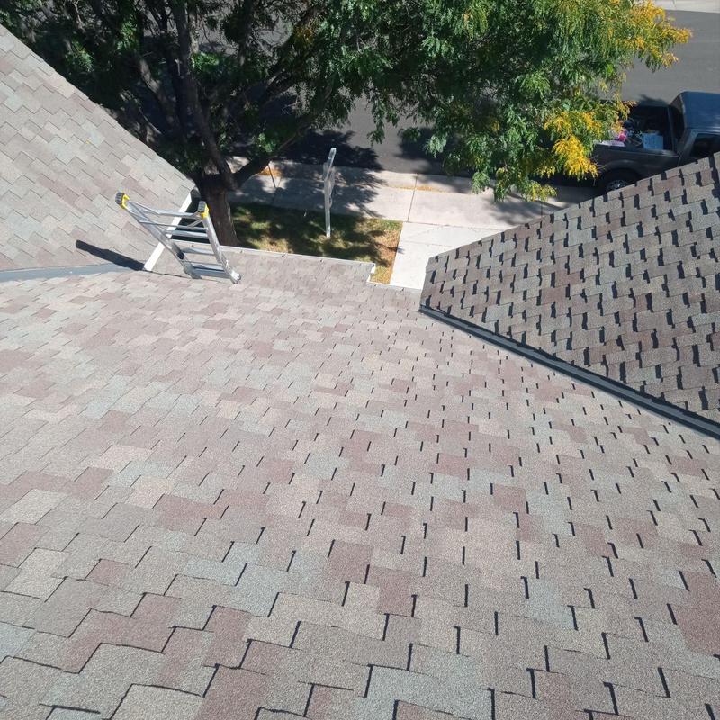 Asphalt shingle roof with ladder during inspection Asphalt shingle roof with ladder during inspection