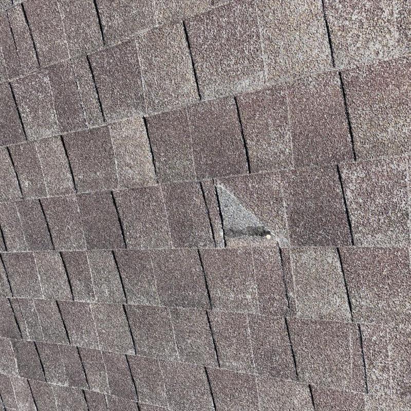 Asphalt shingle with lifted corner and nail exposed