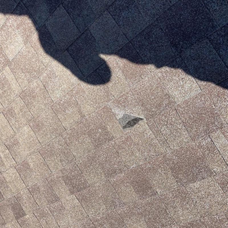 Asphalt shingle roof with lifted shingle and granule loss