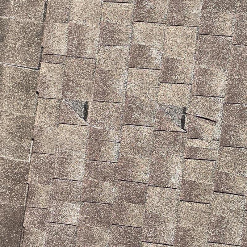 Asphalt shingle roof with damaged, lifted shingles