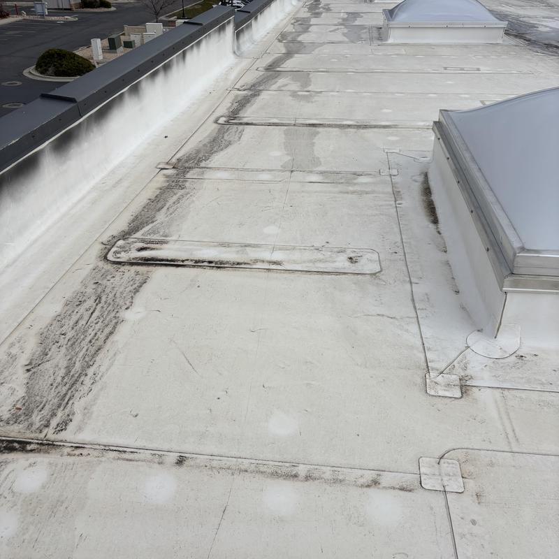 TPO commercial roof with skylights and wear marks